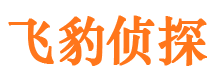 额敏外遇调查取证